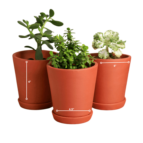 Cone Terracotta Planters (Set of 4)