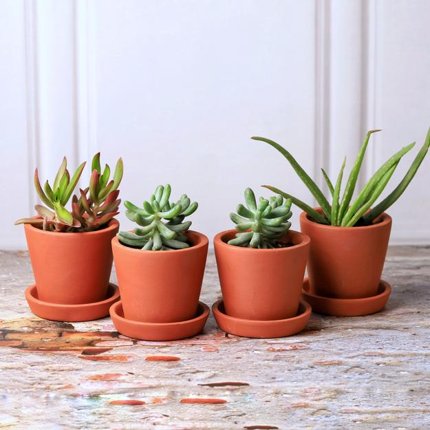 Cone Terracotta Planters (Set of 4)