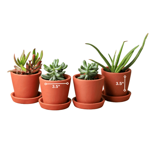 Cone Terracotta Planters (Set of 4)