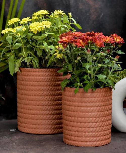 Terracotta Waffle Planters (Set of 2)