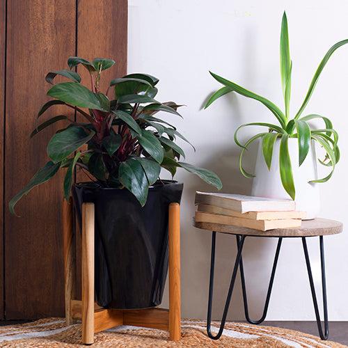 Tapered Planter with stand (Black)