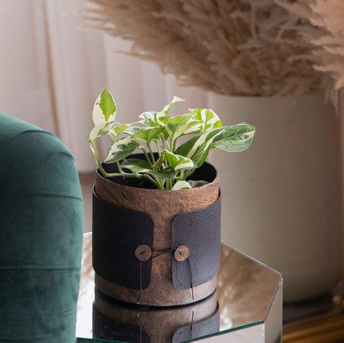 Tokyo Woods Textured Planter (Button)