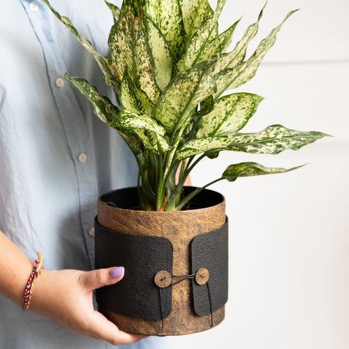 Tokyo Woods Textured Planter (Button)