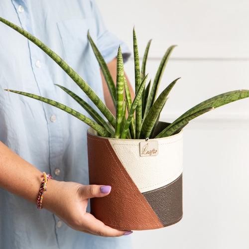 Milano Textured Planter