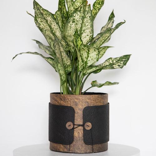 Tokyo Woods Textured Planter (Button)