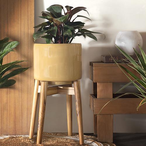 Minimal Style Planter with Stand