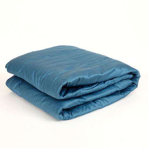 Izaan Quilted Reversible Comforter