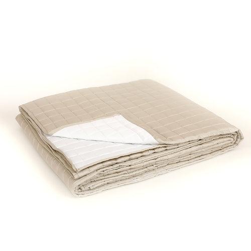 Vaani Quilted Reversible Bedspread Set