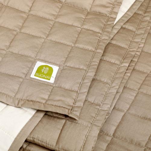 Ayaana Quilted Reversible Bedspread Set