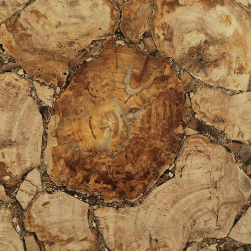 Brown Petrified Wood Gemstone