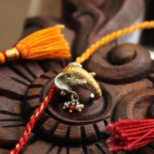 Gaj Rakhi