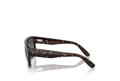 Ray-Ban 0360S Sunglass