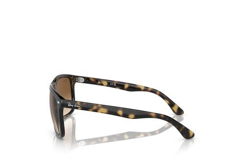 Ray-Ban 4547 Sunglass