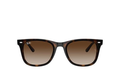 Ray-Ban 4420 Sunglass