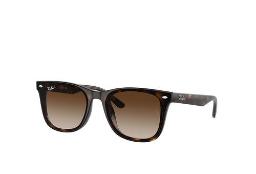 Ray-Ban 4420 Sunglass