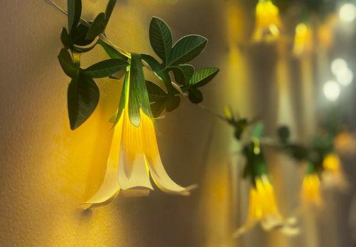 White Paper Flower Fairy Lights (10 flowers)