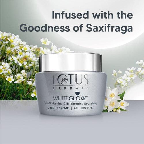 Lotus Herbals WHITEGLOW Skin Brightening & Nourishing Night Cream 20g