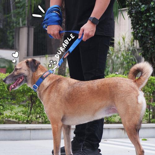 Accessories | Sploot Originals -  Long Leash for Dogs