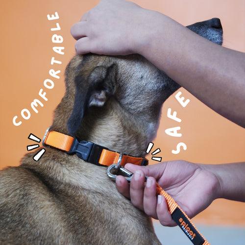 Sploot Originals - Collar - Orange and Black