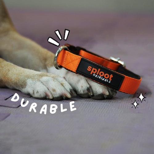 Sploot Originals - Collar - Orange and Black