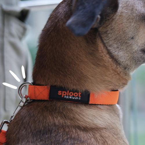 Sploot Originals - Leash - Orange and Black