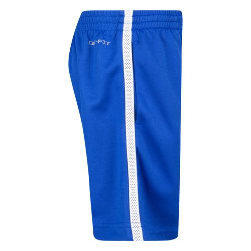 Nike blue dri-fit adp shorts