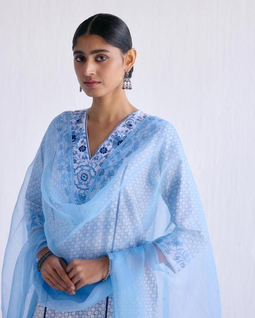 Daisy Dupatta Light Blue