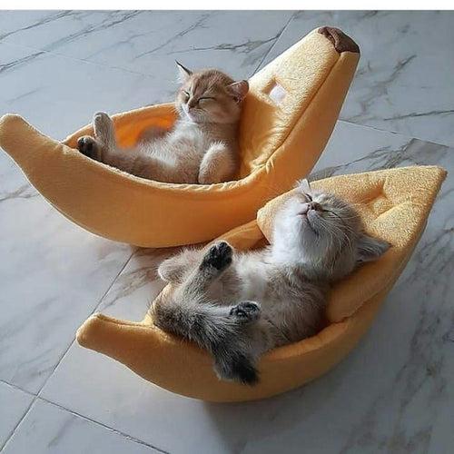 B&N® Cat's Banana Bed ( Premium Edition )