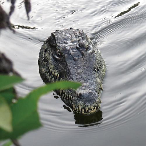 GreyTech® RC Crocodile - Best Prank Stuff