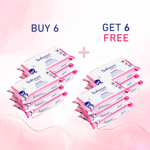 Skin Care Wet Wipes (20 Pcs) Pack of 12