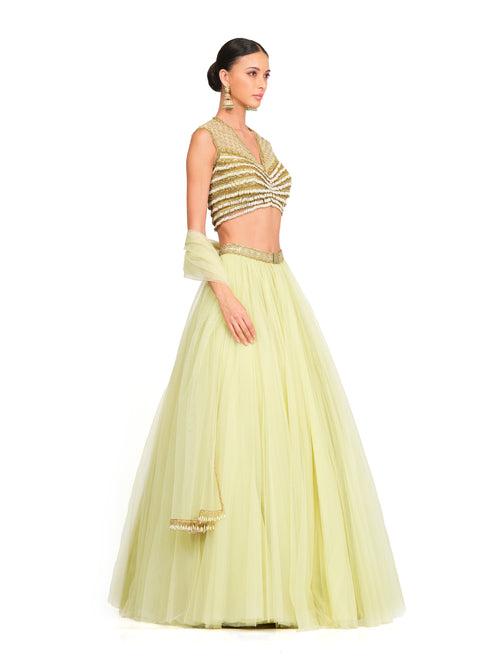 Tulle Lehenga with Tassel V-neck Blouse.