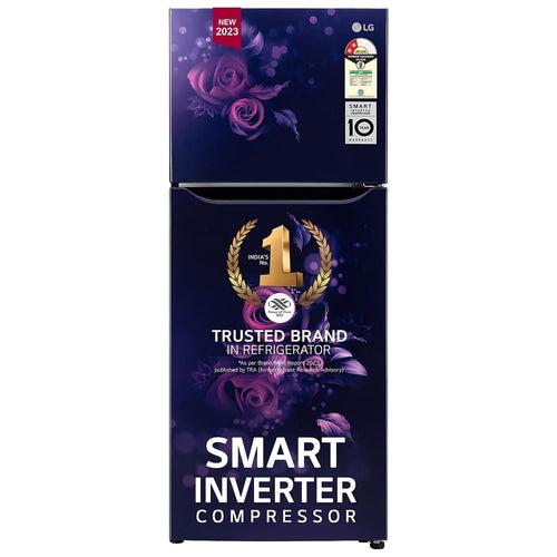 LG 242 L 2 Star Smart Inverter Frost-Free Double Door Refrigerator Appliance (GL-N292BBEY.DBEZEBN, Blue Euphoria)