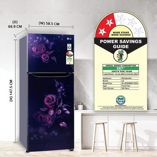 LG 242 L 2 Star Smart Inverter Frost-Free Double Door Refrigerator Appliance (GL-N292BBEY.DBEZEBN, Blue Euphoria)