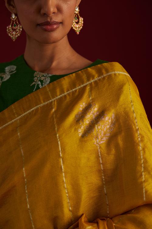 Sameera Saree in Ochre Pure Silk