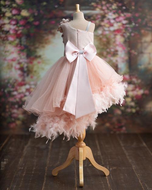 Alexia Peach Princess dress