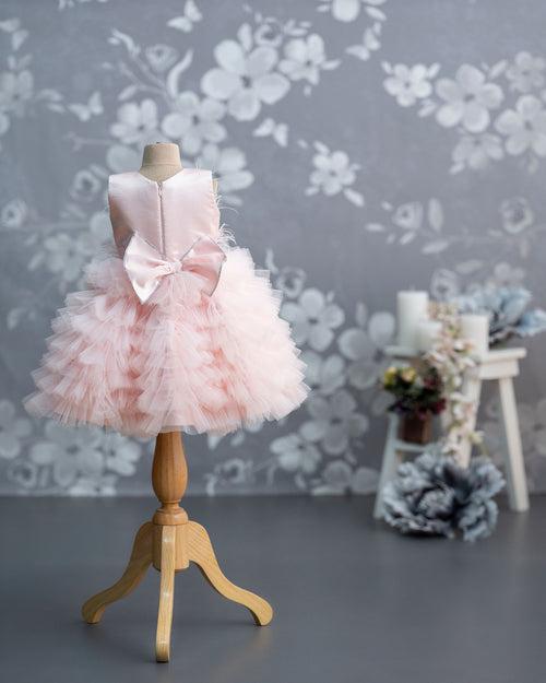 Cinthia beautiful Pink Dress