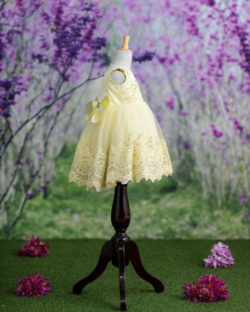Sarah Crystal lemon Dress