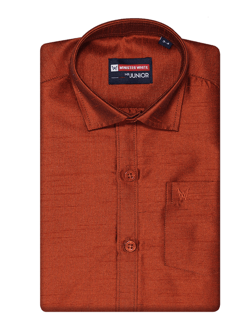 Boys Brown Colour Half Sleeves Shirt Intense Boy