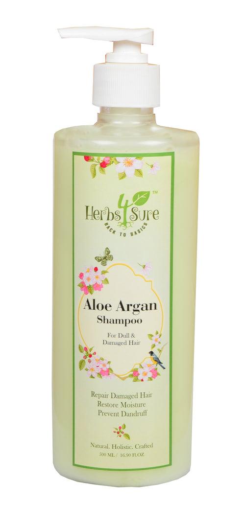 ALOE ARGAN SHAMPOO- CLARYFYING ANTI DANDRUFF SCALP CLEANSER- DAILY USE FOR ALL HAIR TYPES