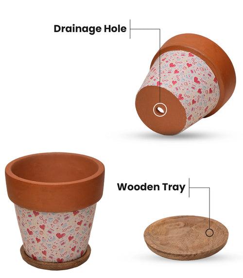 'Basica' Lime Terracotta Plant Pots Combo with Wooden Bottom Tray