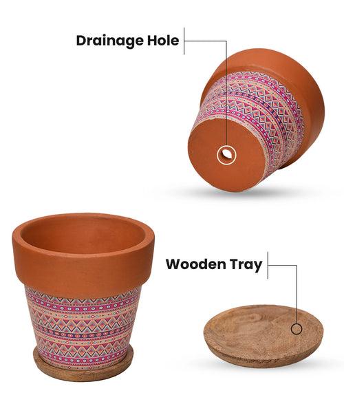 'Basica' Pink Terracotta Plant Pots Combo with Wooden Bottom Tray