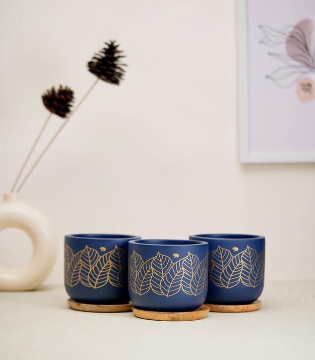 'Zen' Blue Terracotta Plant Pots Combo with Wooden Bottom Tray