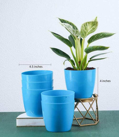 Blue Glossy Bare Fiber Planter Set (Size: 4 Inch)