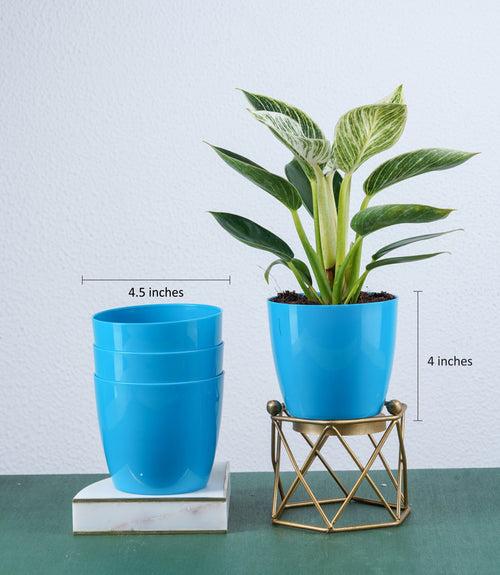 Blue Glossy Bare Fiber Planter Set (Size: 4 Inch)