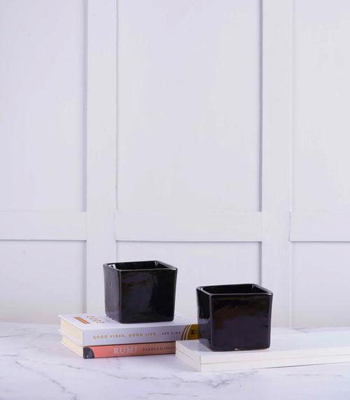 Black Evergreen Ceramic Pots for Houseplants (Set of 2)