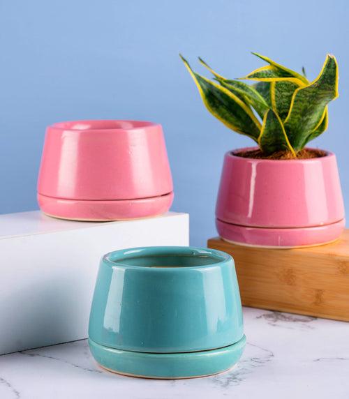 Ciel Ceramic Pots Combo in Teal and Peach Color