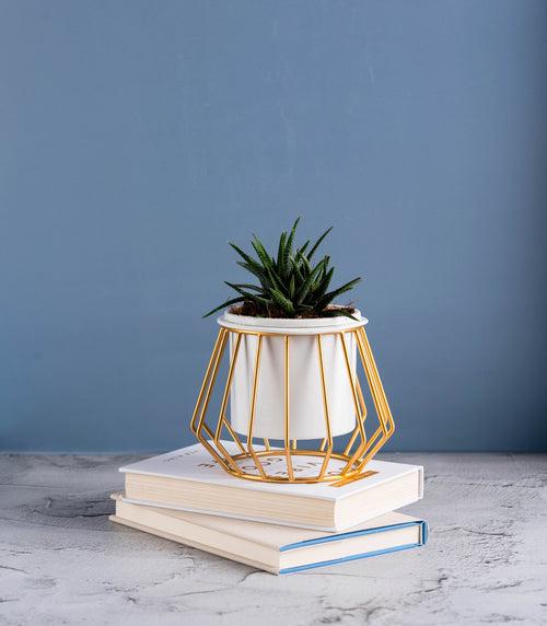 Diamond Ottoman Metal Stand With Planter