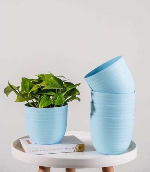 Blue Wave Fiber Planters with Matte Finish