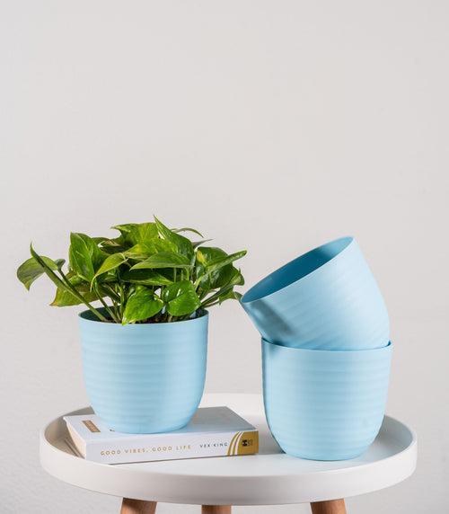 Blue Wave Fiber Planters with Matte Finish