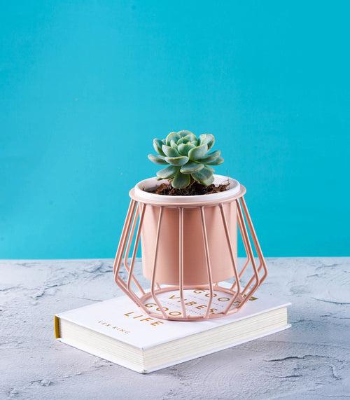 Diamond Ottoman Metal Stand With Planter